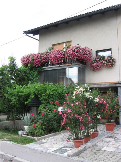 Cvetoče Koseze 2006
