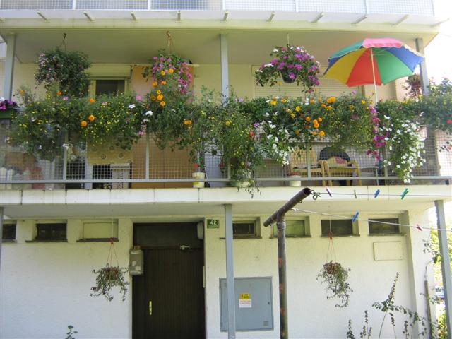 Cvetoče Koseze 2006